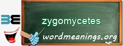 WordMeaning blackboard for zygomycetes